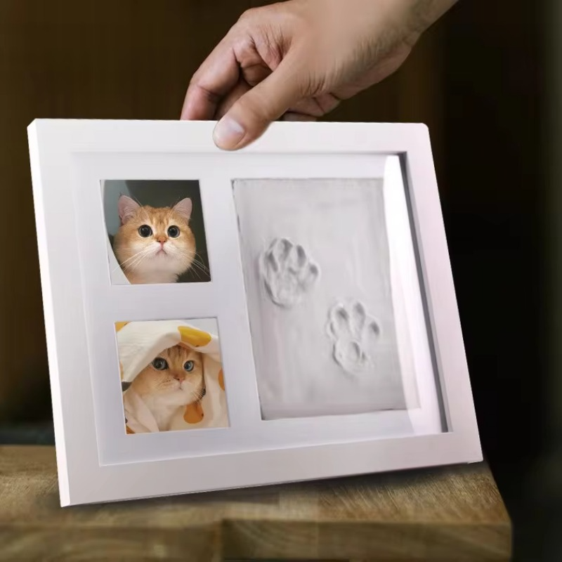 Pet Pawprint  Memorial Frame DIY