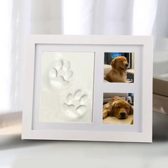 Pet Pawprint  Memorial Frame DIY
