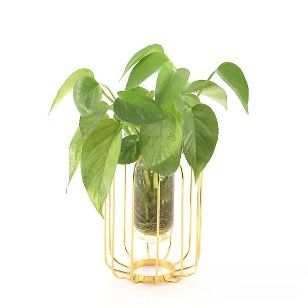 Nordic Style Glass Test Tube Plant Decor for Office