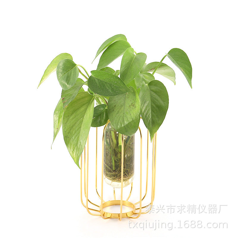 Nordic Style Glass Test Tube Plant Decor for Office