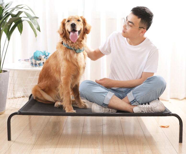 Pet Bed with Removable Washable Steel Frame for Dogs