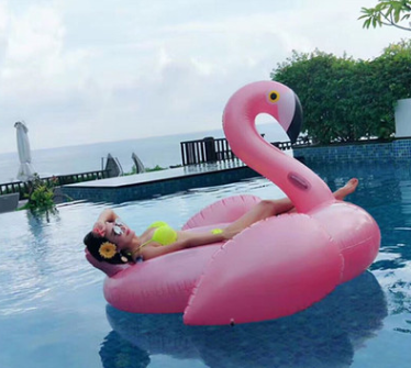 Inflatable PVC Flamingo Pool Float and Unicorn Ring