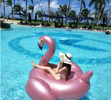 Inflatable PVC Flamingo Pool Float and Unicorn Ring