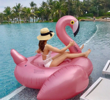 Inflatable PVC Flamingo Pool Float and Unicorn Ring