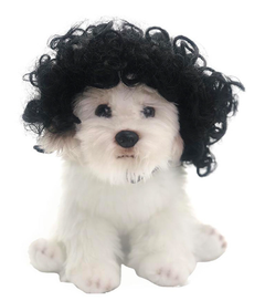 Toshomono Cosplay Dog Wig