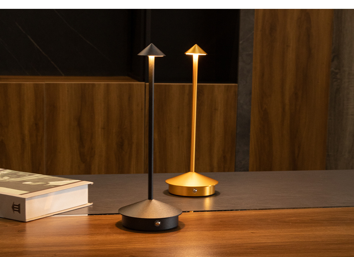 Modern Minimalist LED Table Decor Lamp