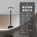 USB Rechargeable Decorative Table Lamp for Indoor & Outdoor
