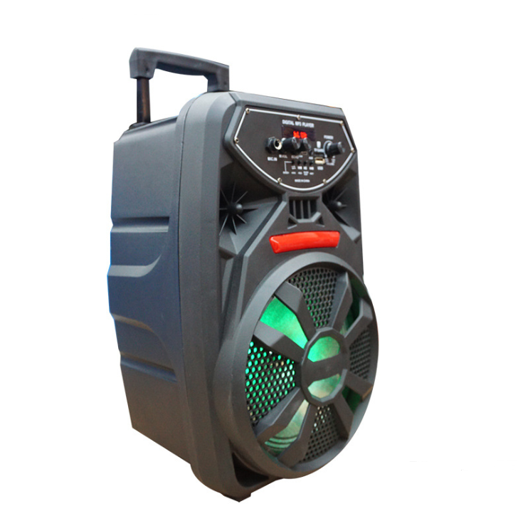 Outdoor Bluetooth Speaker with 8-Inch Portable Design