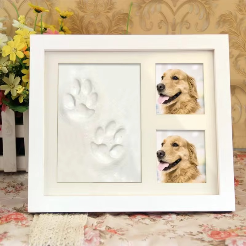 Pet Pawprint  Memorial Frame DIY